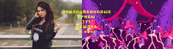 прущие крисы Арсеньев