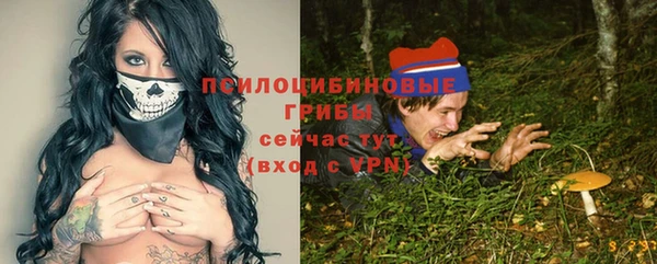 гидра Армянск
