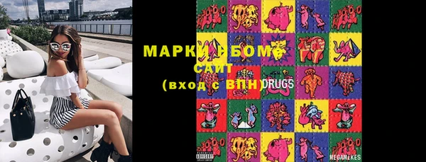 шишки Гусиноозёрск