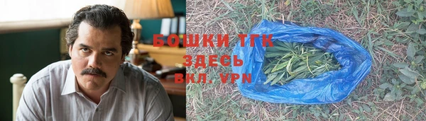 гидра Армянск