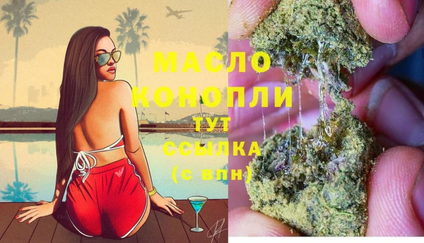 гидра Армянск