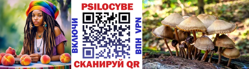 Галлюциногенные грибы GOLDEN TEACHER  Горняк 